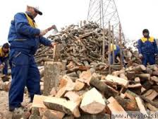 Delavnica, 24.10: Skupni sistemi ogrevanja na lesno biomaso kot priložnost