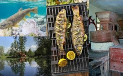 Ribja kulturna dediščina in ribištvo na vodnih območjih občine Naklo & spoznavanje ribje kulinarike, 20.6.2020
