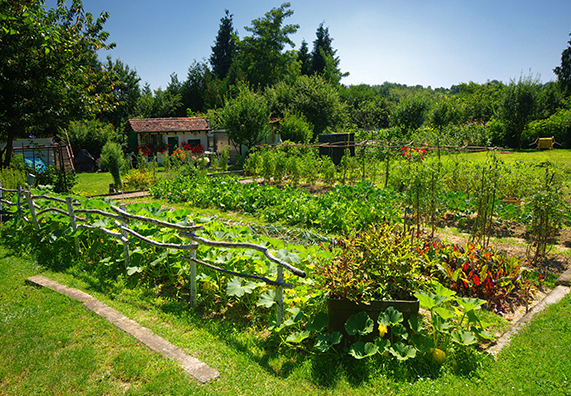 Natečaj “Naravi prijazen gorenjski vrt – izbrani vrtovi