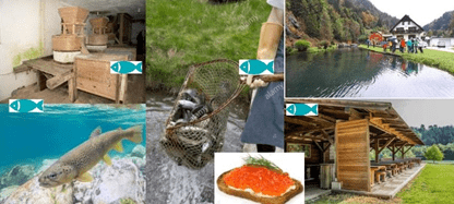 Urejanje lokacij za ribji sonaravni turizem in predstavljanje ribje kulturne dediščine (ZOOM), 16.11.2020