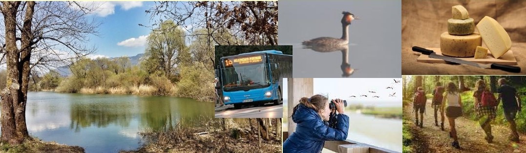 Z AVTOBUSOM IN PEŠ NA SPOZNAVANJE PTIC, ZGODBE MAMUTA IN DOMAČE DOBROTE  NA BOBOVŠKIH JEZERCIH